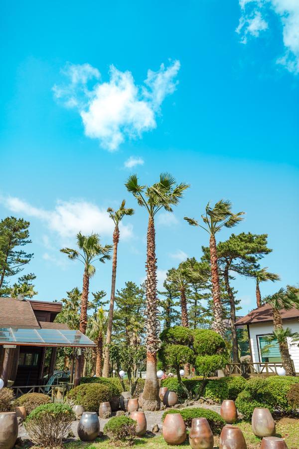 Bijarim Resort เมืองเชจู ภายนอก รูปภาพ